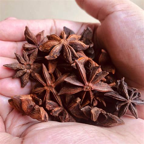 Star Anise Grand Royal Spices