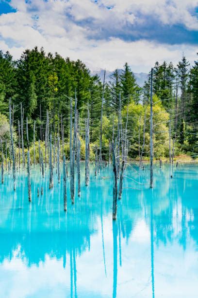 3,200+ Blue Pond In Hokkaido Stock Photos, Pictures & Royalty-Free ...