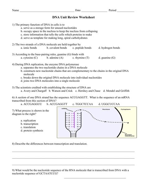 Dna Worksheet Answer Key