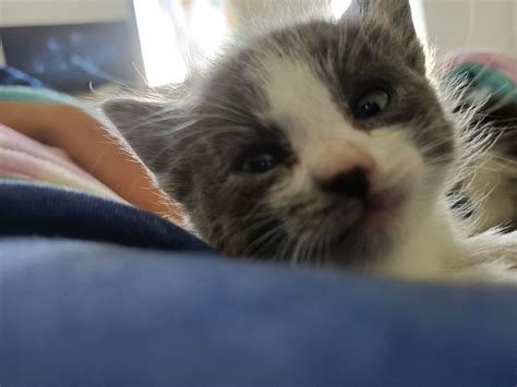 Milion is on Facebook Gaming