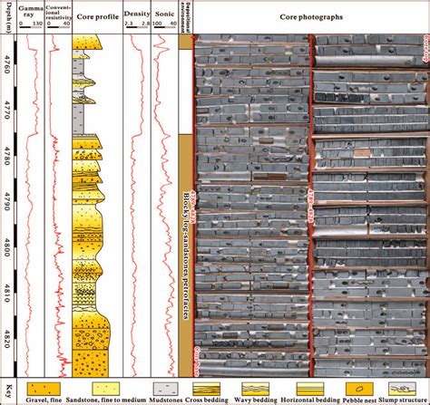 Integrated Well Log And Core Photographs For Stratigraphic Position