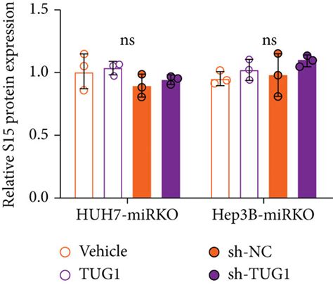 Hsa MiR 582 5p Negatively Regulates Siglec 15 Level And Its Induced