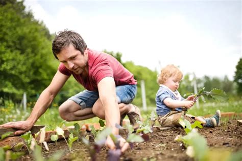 Comment Adopter La Rotation Des Cultures Au Potager En Novembre