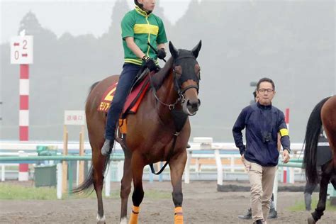 【秋華賞】紫苑s快勝のモリアーナは 枠⑧番 武藤師「末広がりの番号だね」｜競馬ニュース｜競馬予想のウマニティ