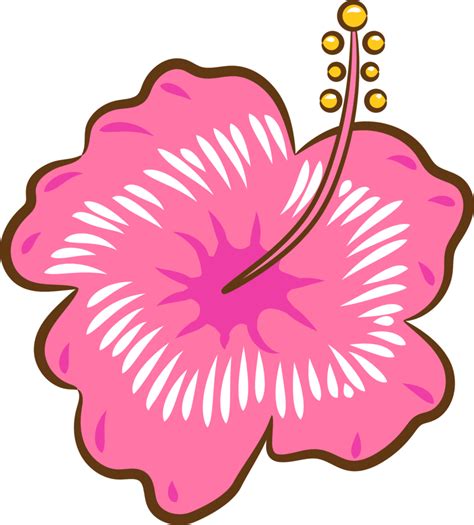 Hibiscus Png Graphic Clipart Design 19152822 Png