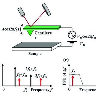 Schematic View Of Electrostatic Interaction Between Tip And Sample And