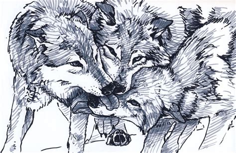 Three Wolves by silvercrossfox on DeviantArt