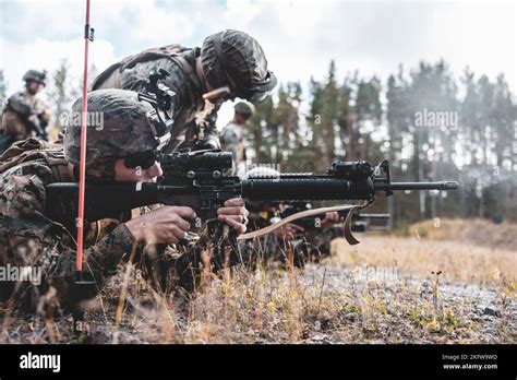 Bataillon de fusiliers finlandais Banque de photographies et dimages à