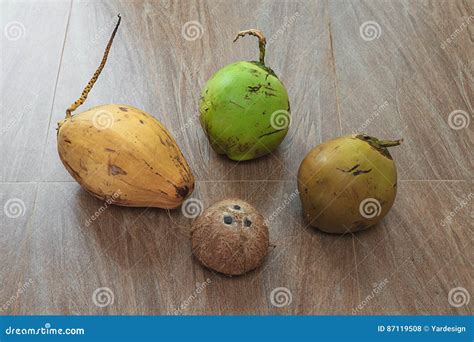 Four Different Coconuts On Table Stock Photo Image Of Comparing