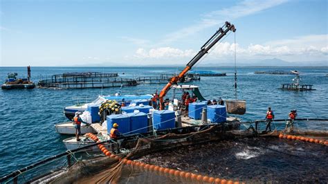 Incop Concreta Alianza Con Martec En El Muelle De Quepos Para El