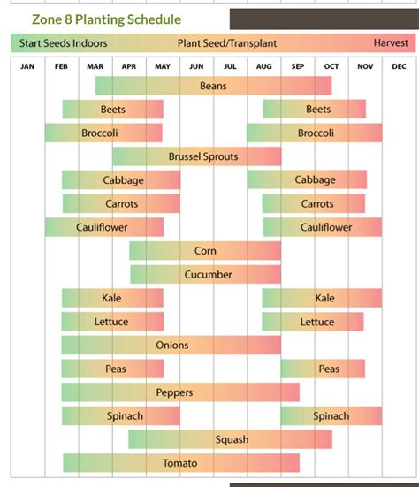 Georgia Vegetable Planting Calendar