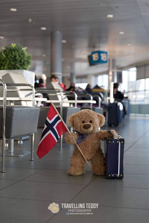 Petit Amour d Ourson TRAVELLING TEDDY Teddybär geschenke Teddy