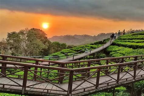 10 Tempat Wisata Terpopuler Di Jember Yang Memiliki Pemandangan Indah