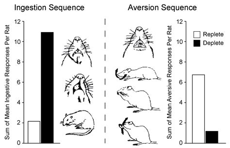 Nutrients Free Full Text Sex Differences In Salt Appetite