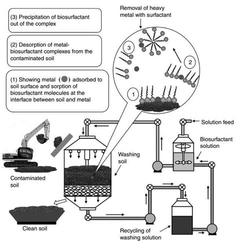 Processing Contaminated Soil Using Biosurfactants For Heavy Metal