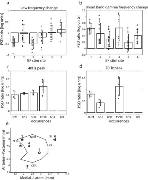Spectral V1 LFP effects for different BF stimulation sites. The bar ... 