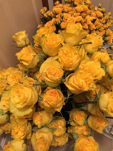 Yellow Bikini Roses Rose Wedding Flowers Flowers