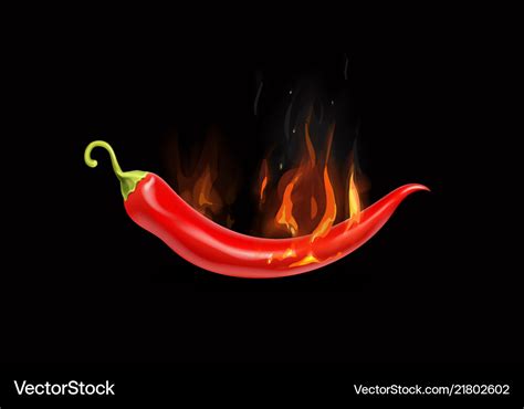 Red Hot Chili Pepper In Fire Logo Spicy Food Vector Image