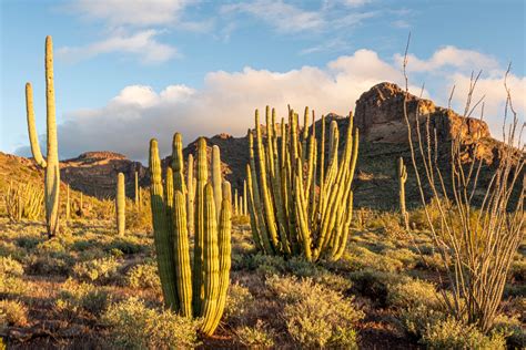 Interior Dept Unveils 10m Climate Rescue Plan For Az Parks