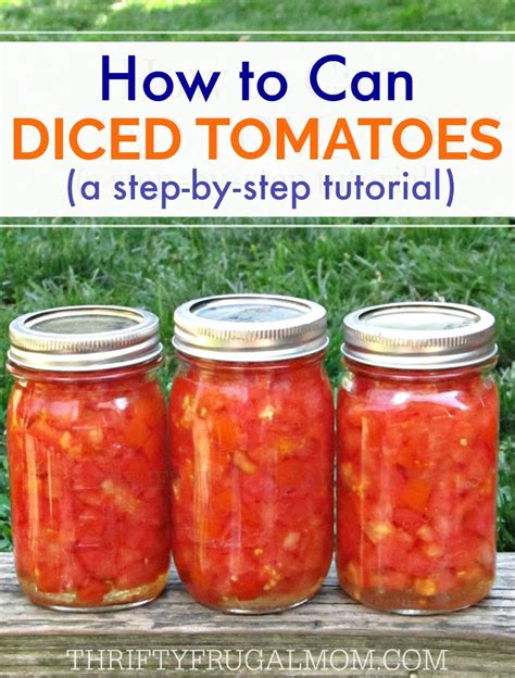 How To Can Diced Tomatoes A Step By Step Tutorial Thrifty Frugal Mom