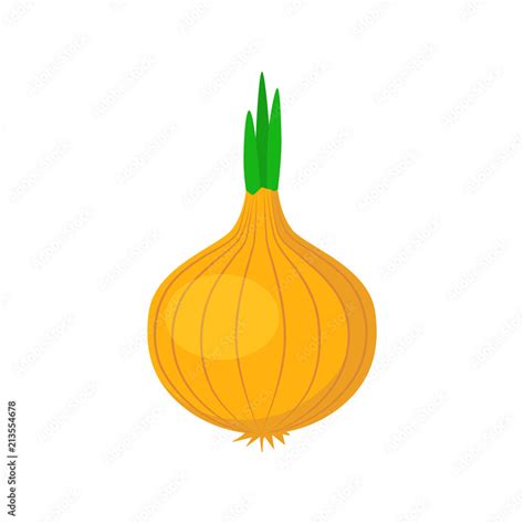 Onion Vegetable Clipart Simple Icon Onion Cartoon Symbol Stock Vector