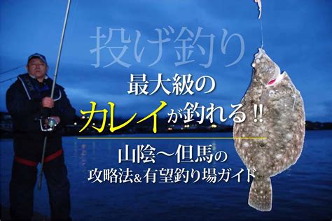 最大級のカレイが釣れる 山陰〜但馬の攻略法＆有望釣り場ガイド 関西のつりweb 釣りの総合情報メディアmeme