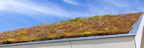 The Advantages Of Green Roofs Fertil