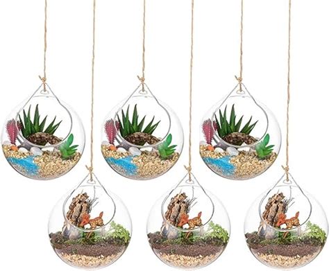 Hanging Glass Globes Terrarium Succulents Orbs 6 Pcs Glass Planter Big Opening Air Fern Plants