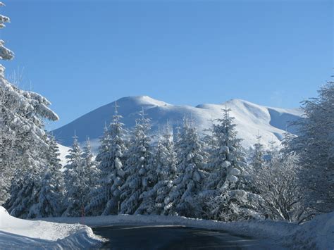 Lauvergne Sous La Neige Photo Et Image Paysages Paysages De