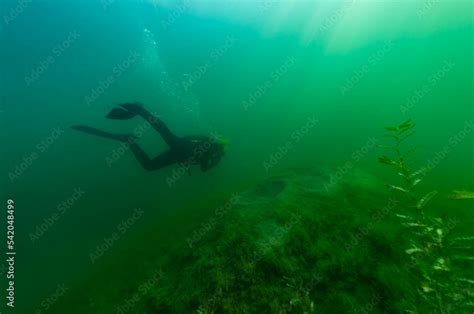 Scuba Diver Exploring A Murky Inland Lake With Dappled Light Stock