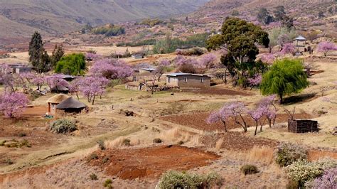 Lesotho Mountain Village Peach Free Photo On Pixabay Pixabay