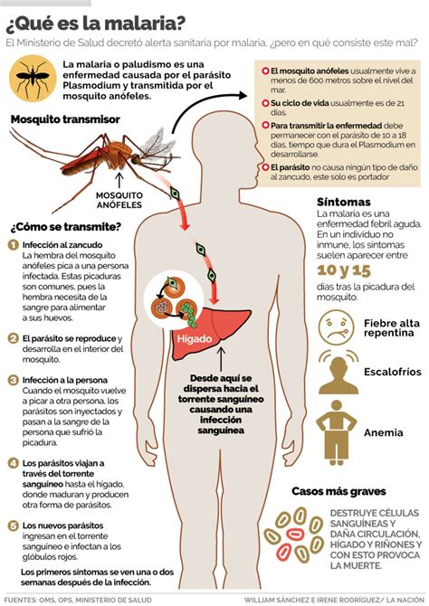 ¿qué Se Sabe Del Brote De Malaria En Limón La Nación