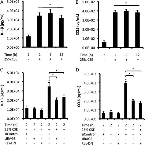 RAGE Ras Signaling Mediated CSE Induced Proinflammatory Cytokine