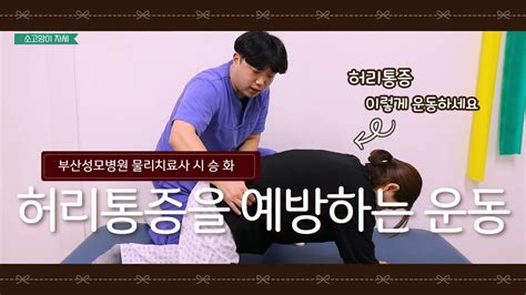 허리통증을 예방하는 운동 Youtube