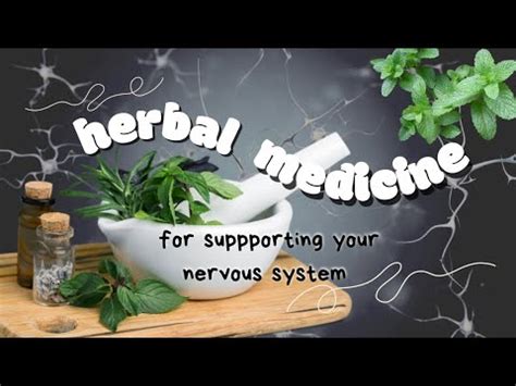 How Herbs Can Help The Brain Nervous System Stay Balanced Part I An