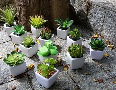 Kit 12 Plantas Mini Suculentas Artificiais Mini Vaso R 119 99 Em