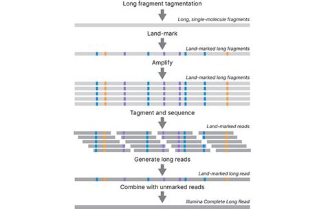 Long Read Sequencing Technology For Challenging Genomes