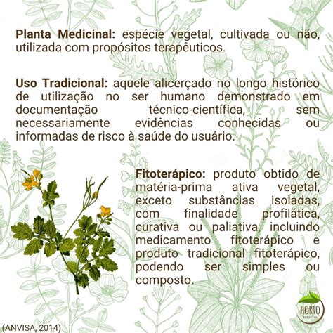 Horto didático de plantas medicinais do HU CCS