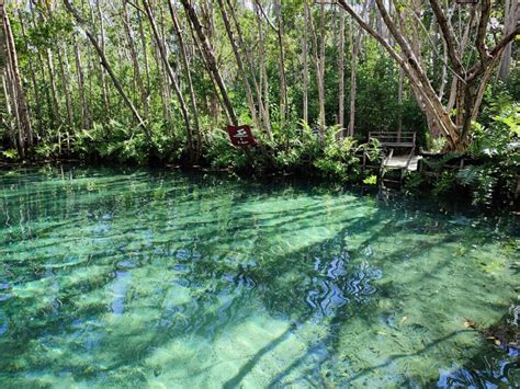 Les Plus Belles C Notes Du Mexique Au C Ur De La Nature