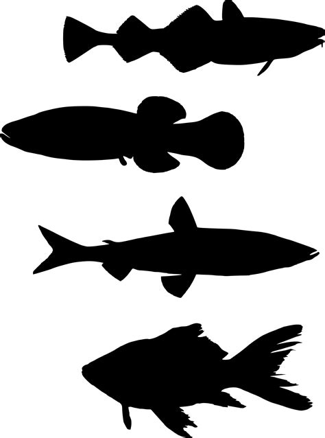 School Of Fish Silhouette at GetDrawings | Free download