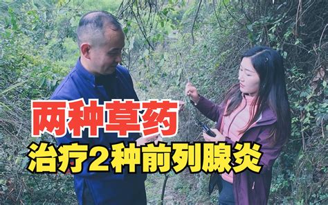 如何治疗男科问题？50岁老中医善用一种草药，为何做到男女同治 了不起的中医 了不起的中医 哔哩哔哩视频