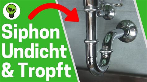 Siphon Undicht Waschbecken TOP ANLEITUNG Wie Dichtungen Richtig