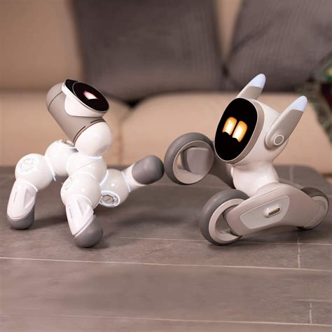 Loona is a small domestic robot. Intended to be used for play and ...