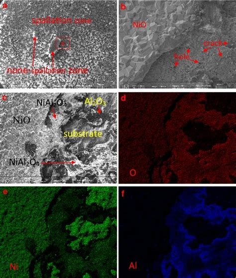 Surface Oxide Morphology And Elemental Mapping Of Al5 Ni5Al After