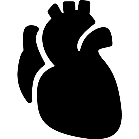 Anatomic Heart Vector Svg Icon Svg Repo