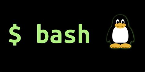 What Does Bash Mean In Linux