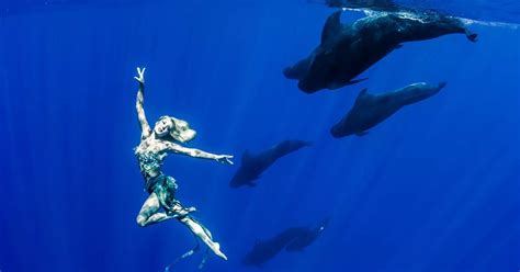 Real Life Mermaid Hannah Fraser Swims With Whales In Stunning Pictures