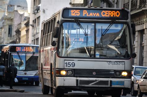 Cómo se explica el aumento en el precio del boleto urbano