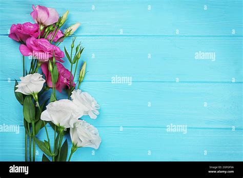 Fresh Flowers On Turquoise Wooden Background Stock Photo Alamy