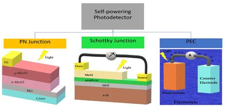 Types Of Self Powered Photodetectors Download Scientific Diagram